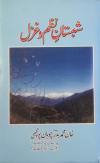 شبستان نظم و غزل