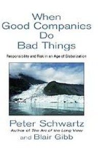 When good companies do bad things : responsibility and risk in an age of globalization